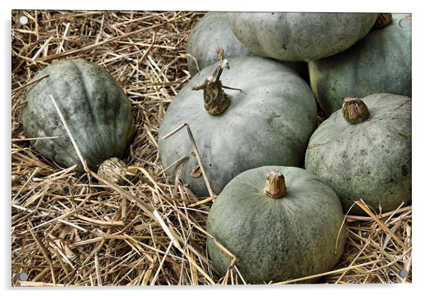 green pumpkins Acrylic by Heather Newton