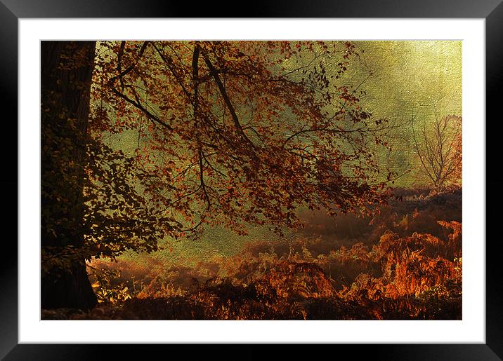Enchanted place Framed Mounted Print by Dawn Cox