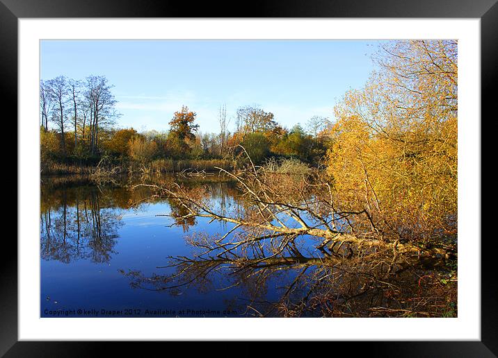 Blashford Lakes In Autumn Framed Mounted Print by kelly Draper
