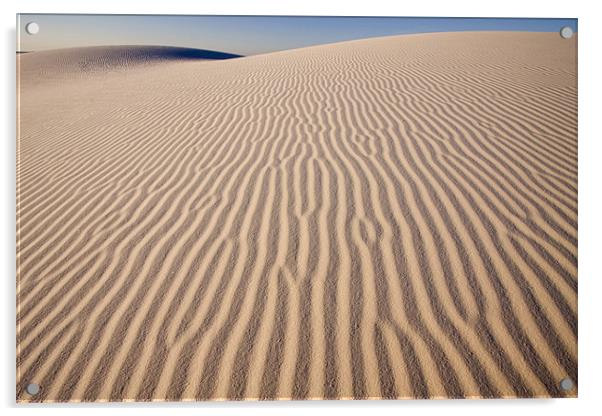 White Sands  Acrylic by Thomas Schaeffer