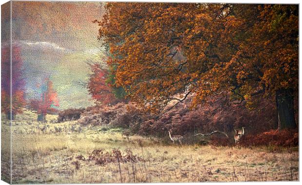 Autumn landscape Canvas Print by Dawn Cox