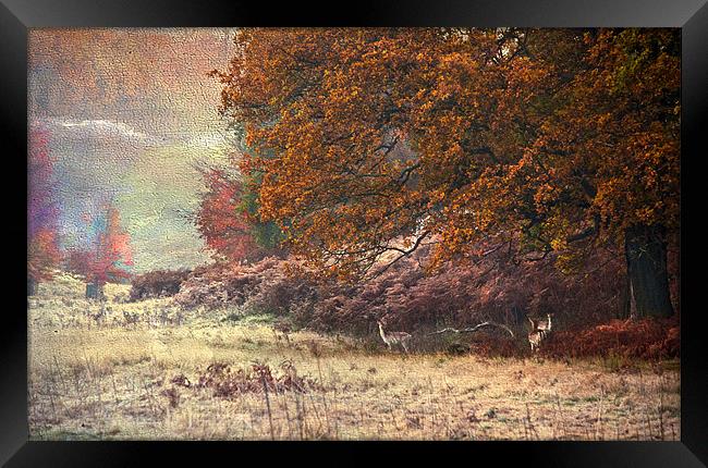 Autumn landscape Framed Print by Dawn Cox