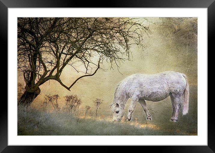 Enchanted Framed Mounted Print by Dawn Cox