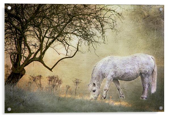 Enchanted Acrylic by Dawn Cox