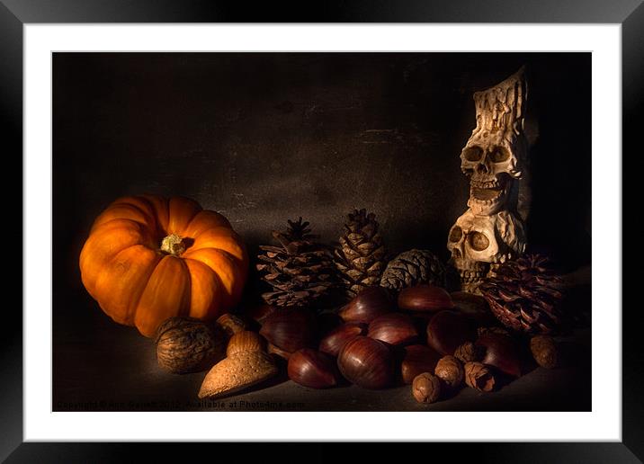 Halloween Still Life - 2 Framed Mounted Print by Ann Garrett