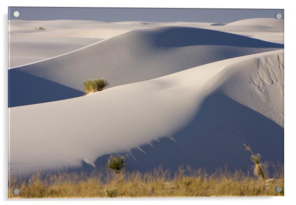 White Sands  Acrylic by Thomas Schaeffer