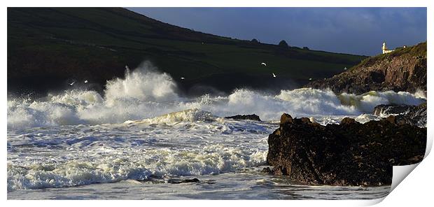 Dingle Lighthouse Print by barbara walsh