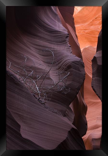 Antelope Canyon Framed Print by Thomas Schaeffer