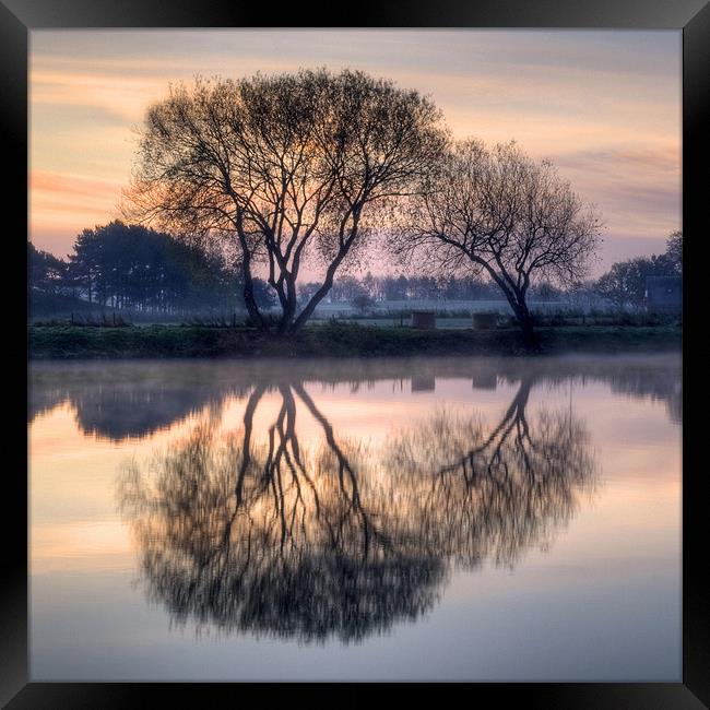 Reflection Framed Print by Tracey Whitefoot