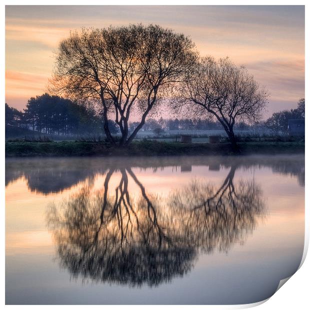 Reflection Print by Tracey Whitefoot