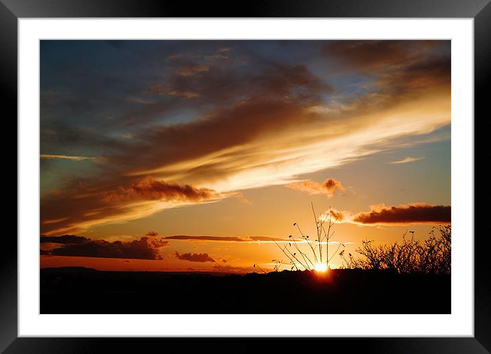 Bright sky,sunset Framed Mounted Print by Catherine Davies