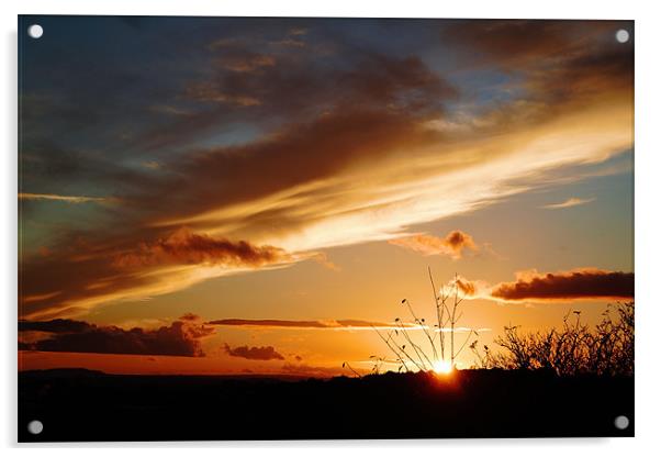 Bright sky,sunset Acrylic by Catherine Davies