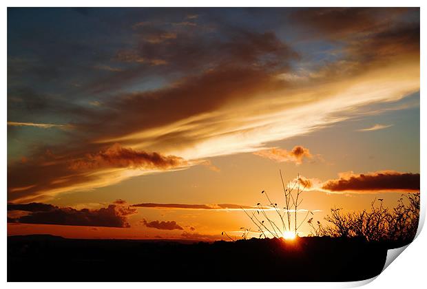 Bright sky,sunset Print by Catherine Davies