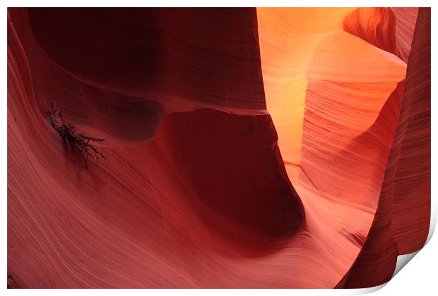 Antelope Canyon Print by Thomas Schaeffer