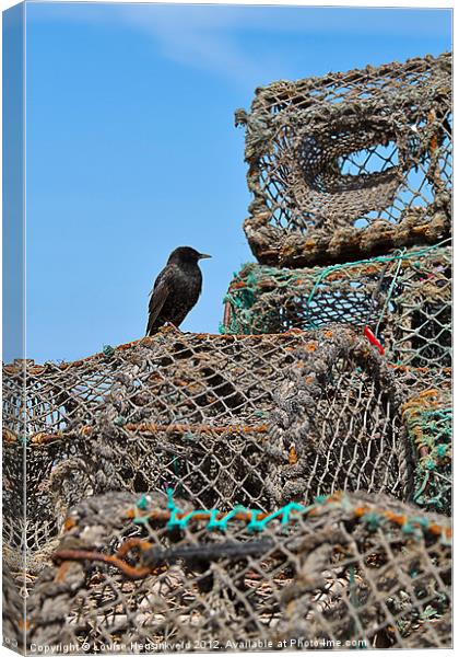 Starling and Lobster Pots Canvas Print by Louise Heusinkveld