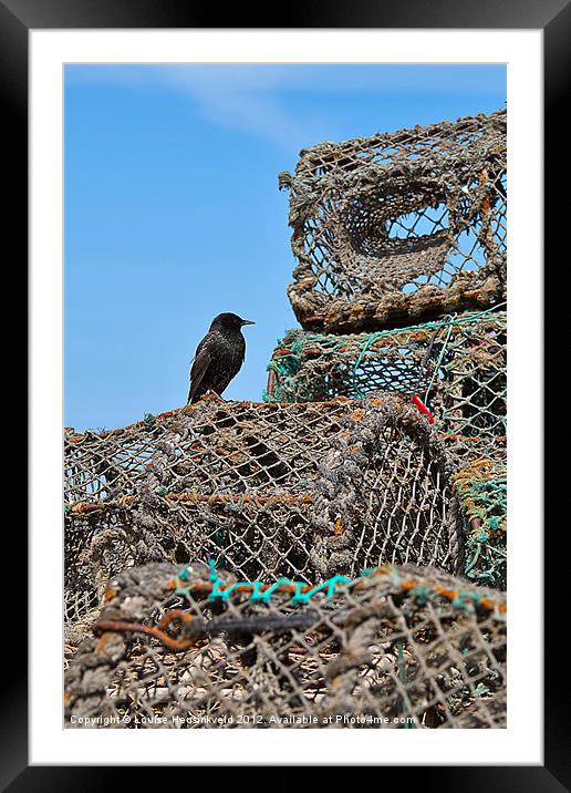Starling and Lobster Pots Framed Mounted Print by Louise Heusinkveld