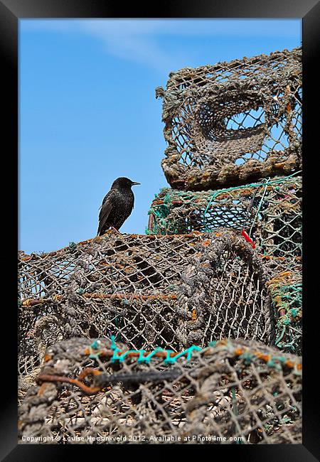 Starling and Lobster Pots Framed Print by Louise Heusinkveld