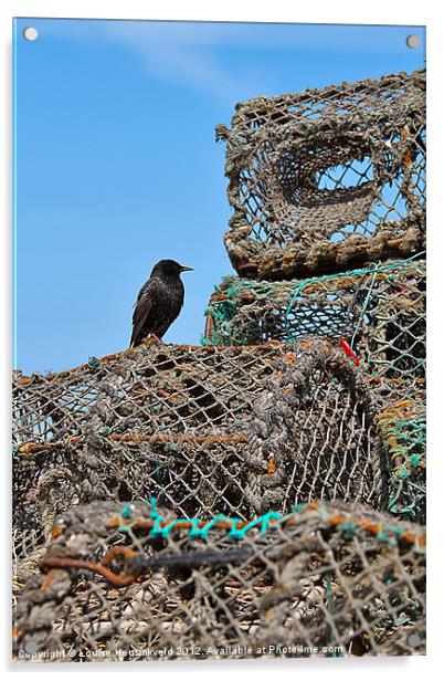 Starling and Lobster Pots Acrylic by Louise Heusinkveld