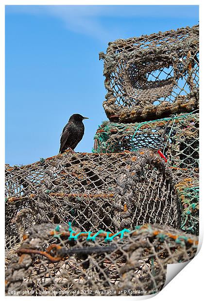 Starling and Lobster Pots Print by Louise Heusinkveld