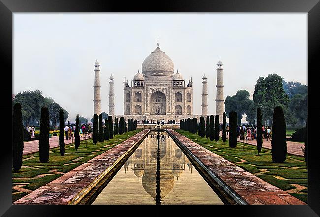 The Taj Mahal Framed Print by Jacqi Elmslie