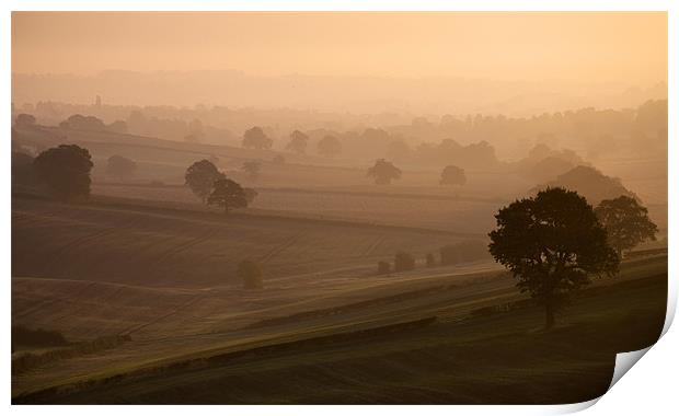 Misty Morning Print by Tracey Whitefoot