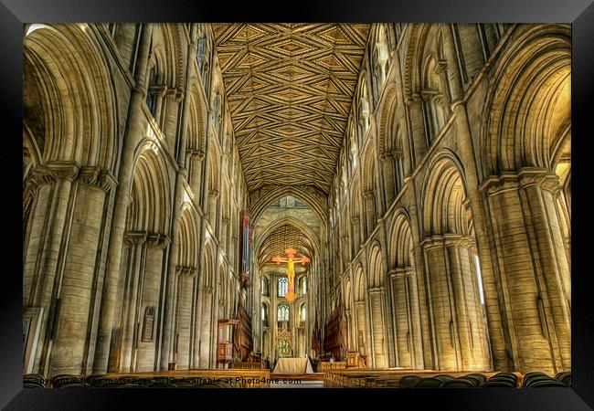 Peterborough Cathedral 3 Framed Print by Fiona Messenger