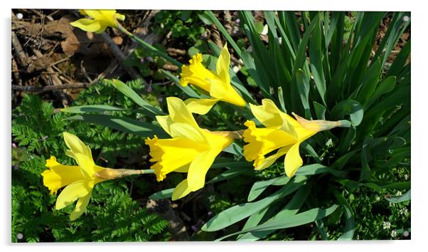 easter lillies Acrylic by joan good