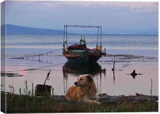 Fishing boat and dog Canvas Print by Malcolm Snook