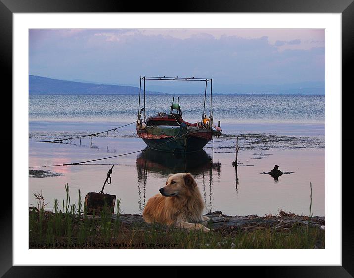Fishing boat and dog Framed Mounted Print by Malcolm Snook