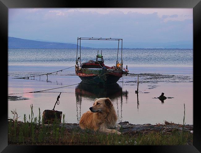 Fishing boat and dog Framed Print by Malcolm Snook