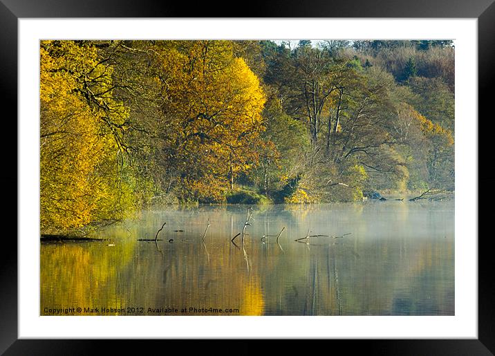 Yellow and Gold Framed Mounted Print by Mark Hobson