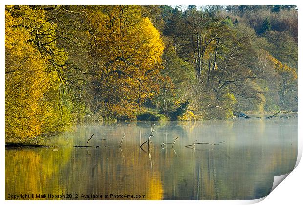 Yellow and Gold Print by Mark Hobson