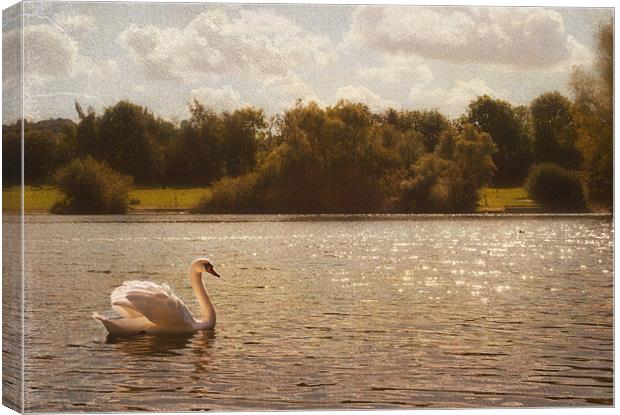 Swan Lake Canvas Print by Dawn Cox