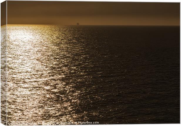 Sunrise view from the Ferry Canvas Print by Vinicios de Moura