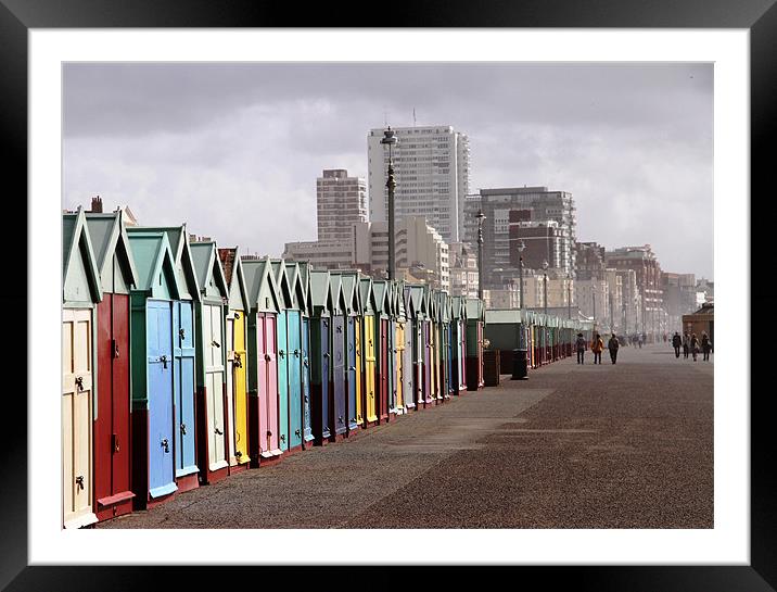 Brighton beach huts Framed Mounted Print by Will Black