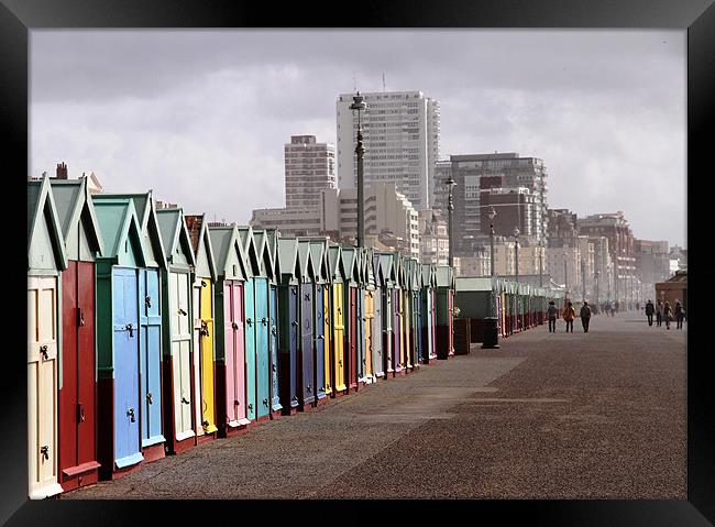 Brighton beach huts Framed Print by Will Black