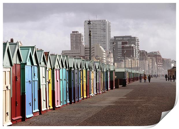 Brighton beach huts Print by Will Black
