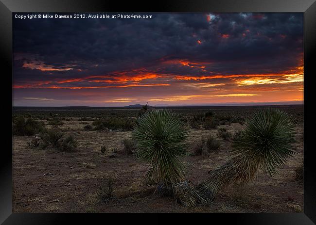 Yucca Sunset Framed Print by Mike Dawson