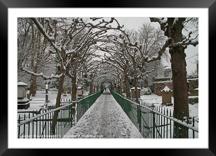Bird Cage Walk In Snow Framed Mounted Print by mark blower
