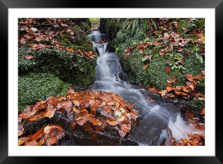 Lyhner Woods Waterfall Framed Mounted Print by CHRIS BARNARD