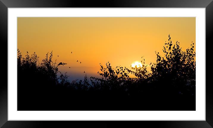 Fresh Misty Morning Sunrise Framed Mounted Print by Peter Carroll