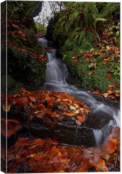 Waterfall In The Woods Canvas Print by CHRIS BARNARD
