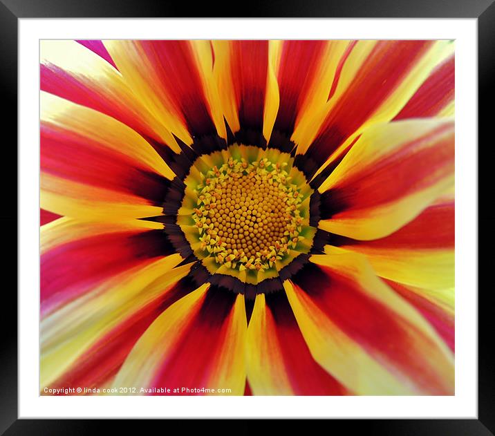 visions of colour 2 Framed Mounted Print by linda cook