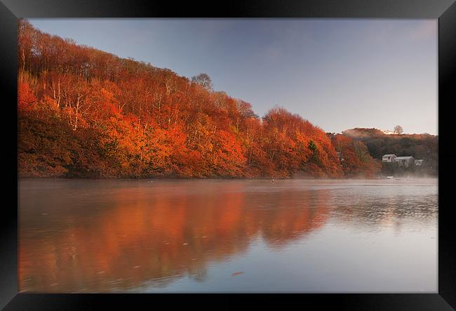 Refections Of Looe In Autumn Framed Print by CHRIS BARNARD