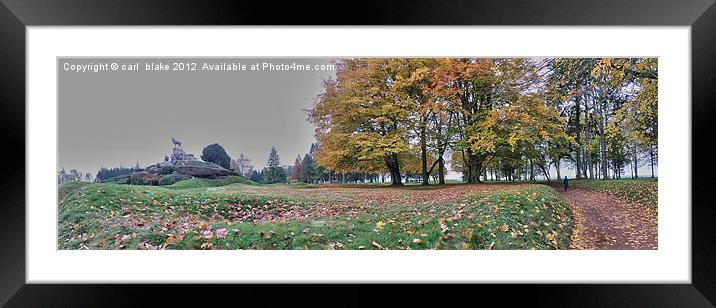 newfounland park Framed Mounted Print by carl blake