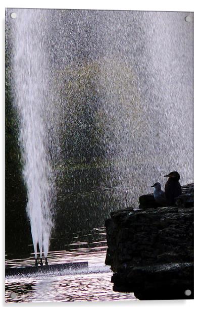 Shower in St James Park Acrylic by Reg Dobson