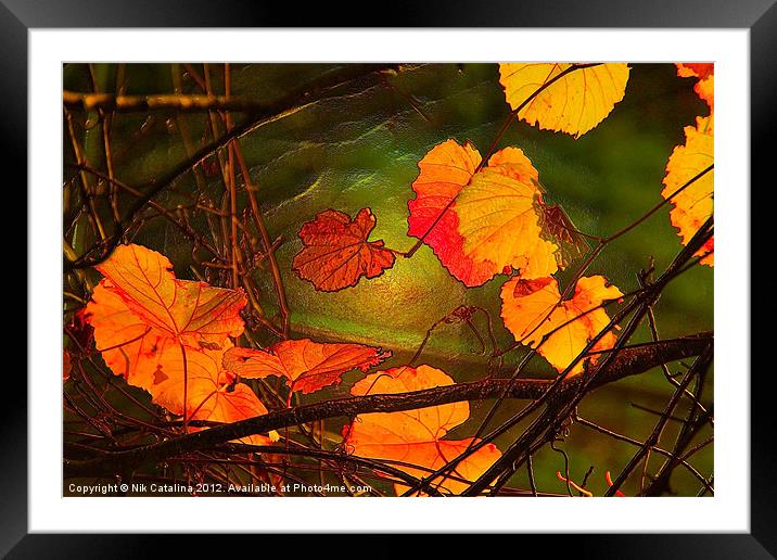 Autumn Leaves at Sunset Framed Mounted Print by Nik Catalina
