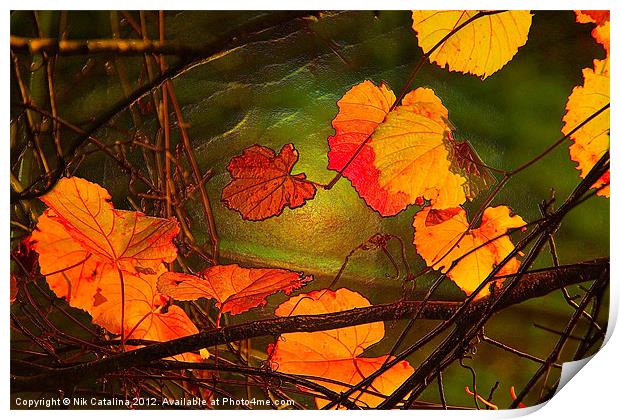 Autumn Leaves at Sunset Print by Nik Catalina