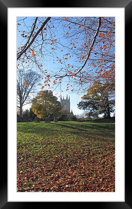 Autumnal View Framed Mounted Print by N C Photography