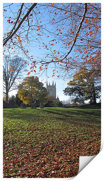 Autumnal View Print by N C Photography
